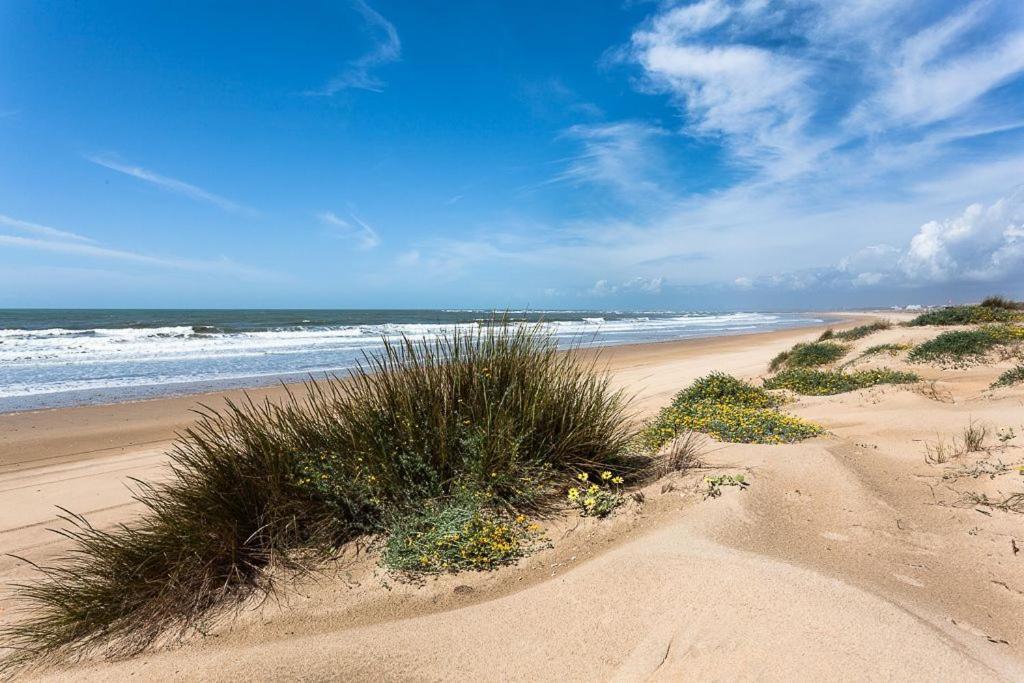 Fantastico Atico Con Terraza, Garaje, Wifi, Con Todo Para Playa, Piscina Y Casa Y No Facturar Maletas! El Portil Eksteriør billede